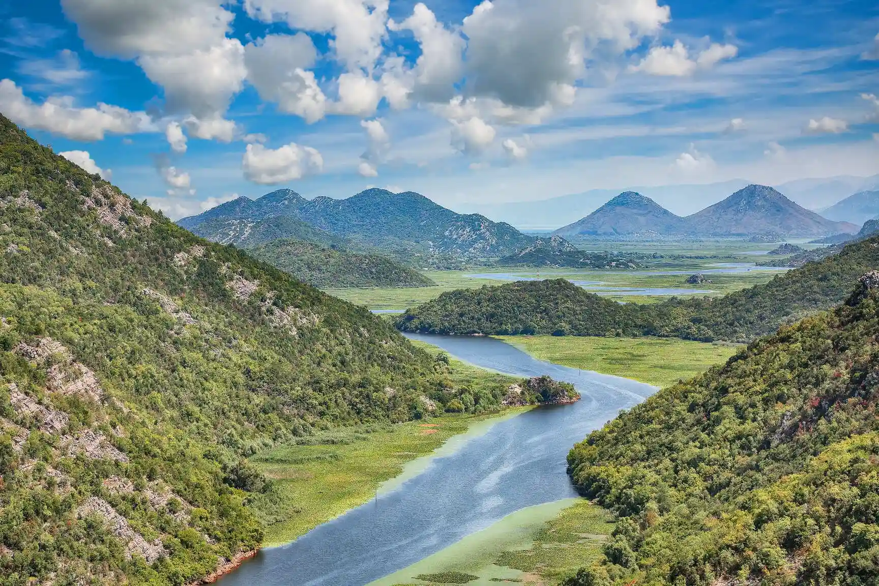 Herbstliche Blätter im Wald