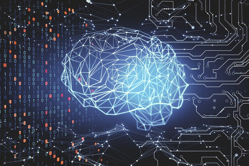 Das Gehirn – ein lebendiges Stromnetz