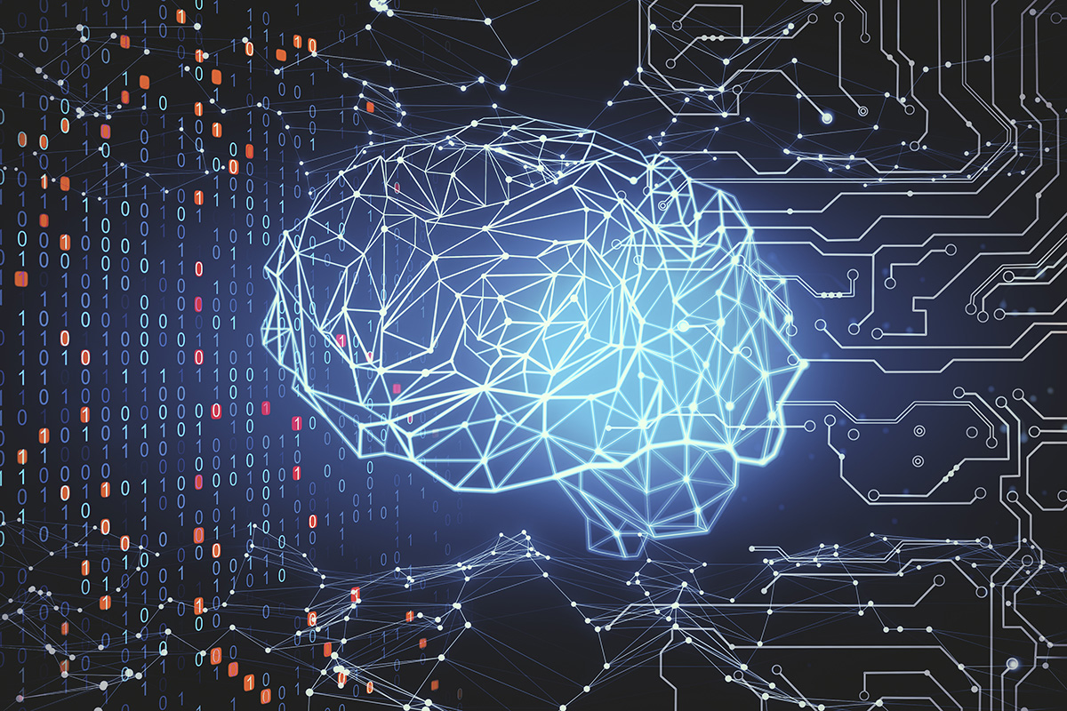 Das Gehirn – ein lebendiges Stromnetz